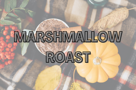 MARSHMALLOW ROAST Snap Bar