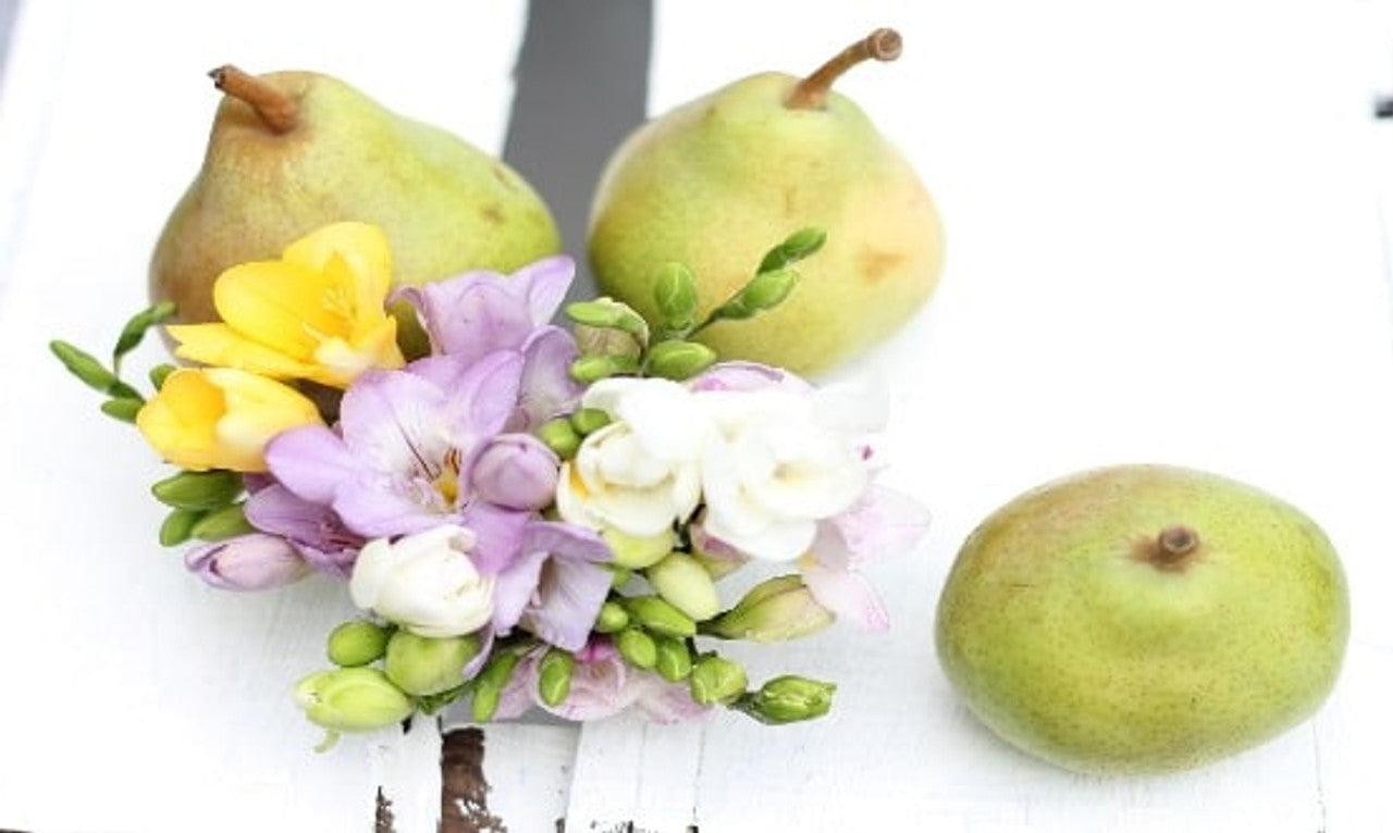 English Pear and Freesia