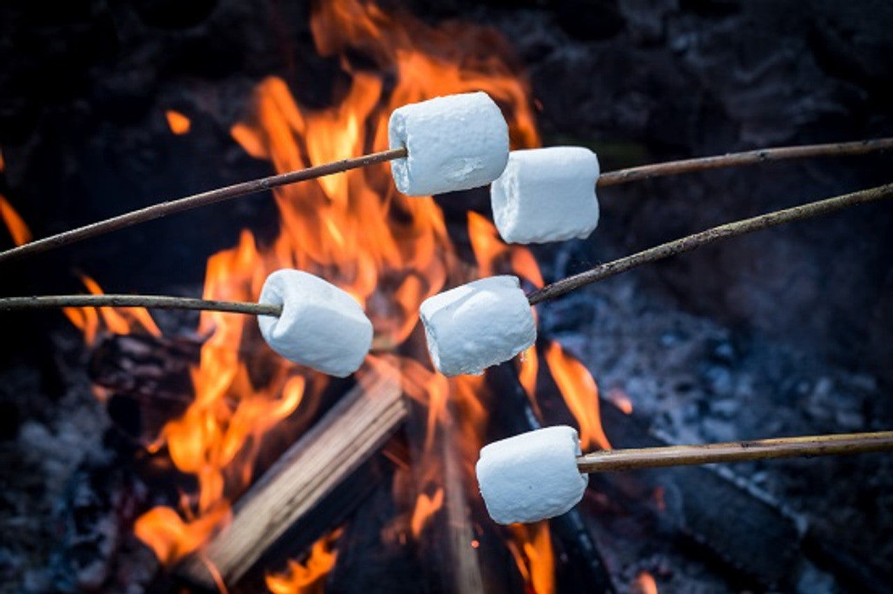 Marshmallow Roast Snap Bar